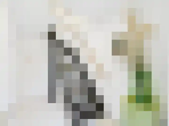 Lekstraat 2 Terneuzen thumbnail 13