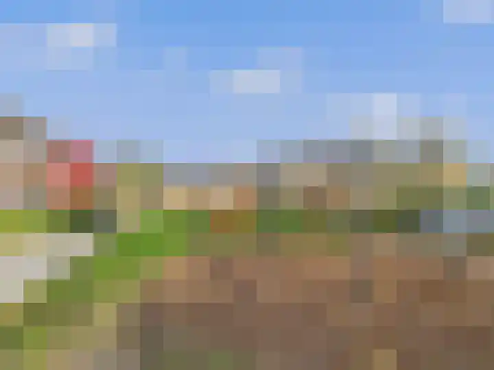 Lekstraat 2 Terneuzen thumbnail 36