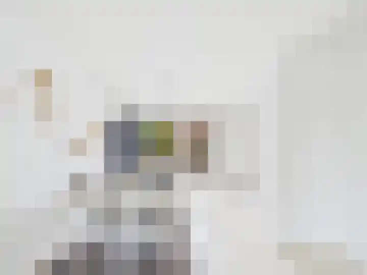 Lekstraat 2 Terneuzen thumbnail 7