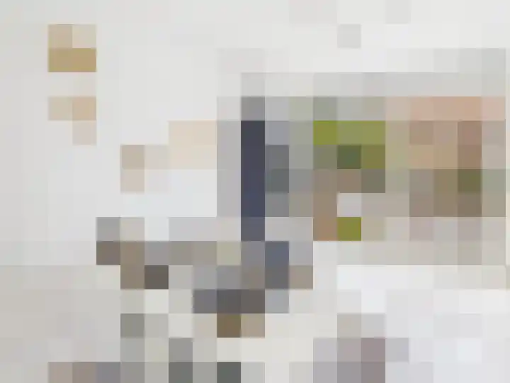 Lekstraat 2 Terneuzen thumbnail 8