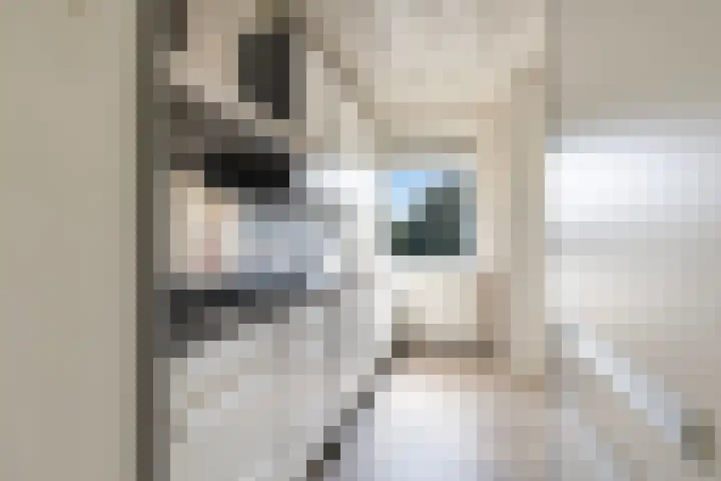 Lekstraat 203 Apeldoorn thumbnail 14