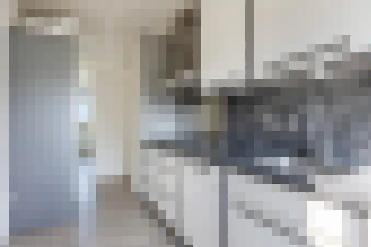 Lekstraat 203 Apeldoorn thumbnail 17