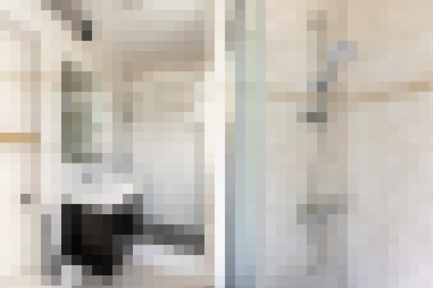 Lekstraat 203 Apeldoorn thumbnail 19