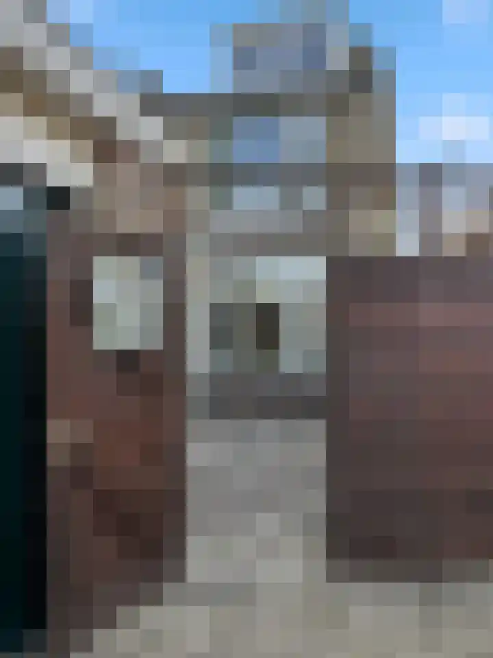 Lekstraat 22 Alphen aan den Rijn thumbnail 4