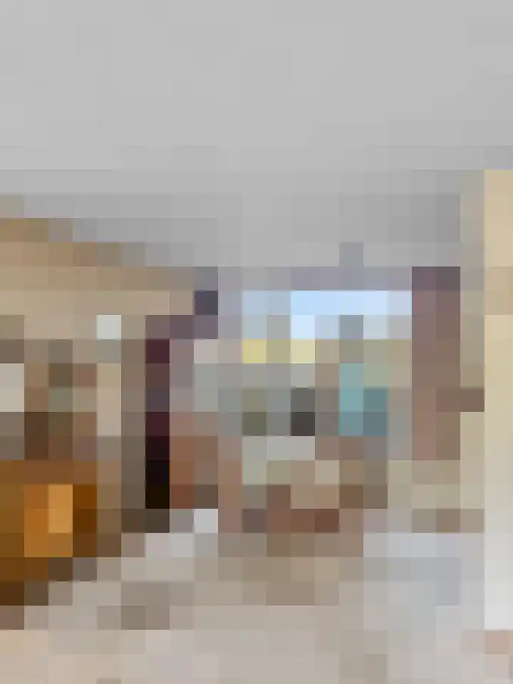 Lekstraat 22 Alphen aan den Rijn thumbnail 8