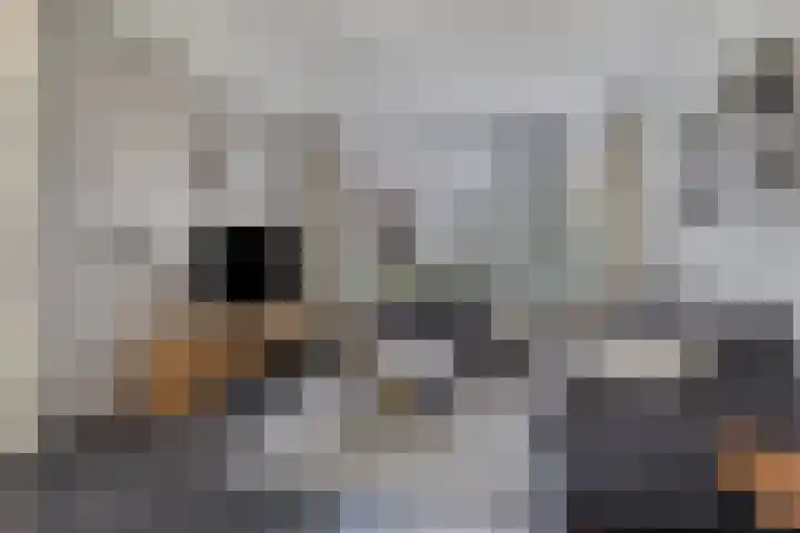 Lekstraat 22 Winschoten thumbnail 11