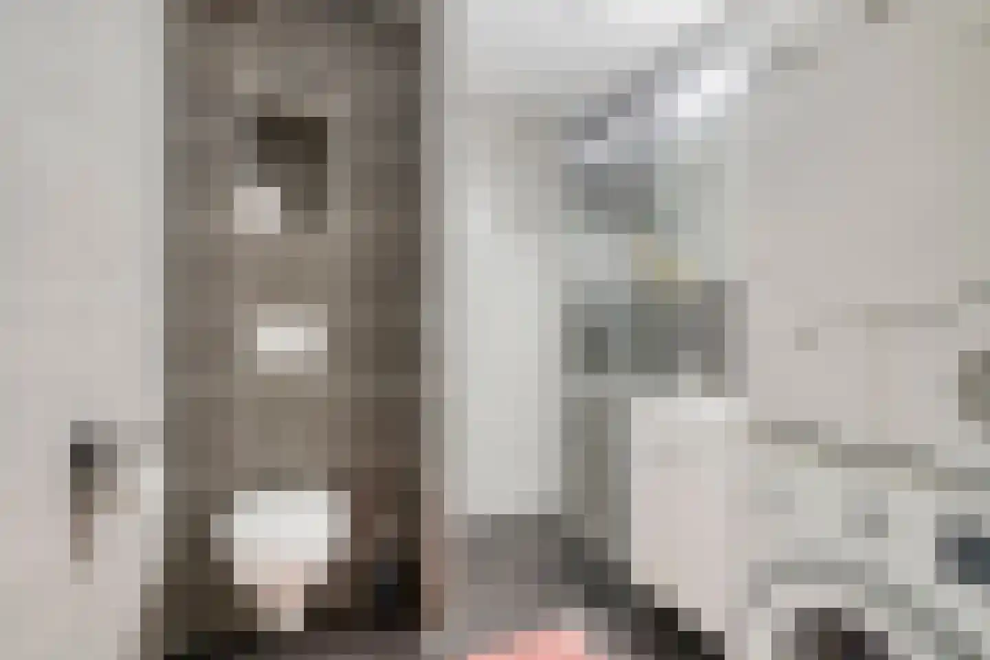 Lekstraat 23 Purmerend thumbnail 15