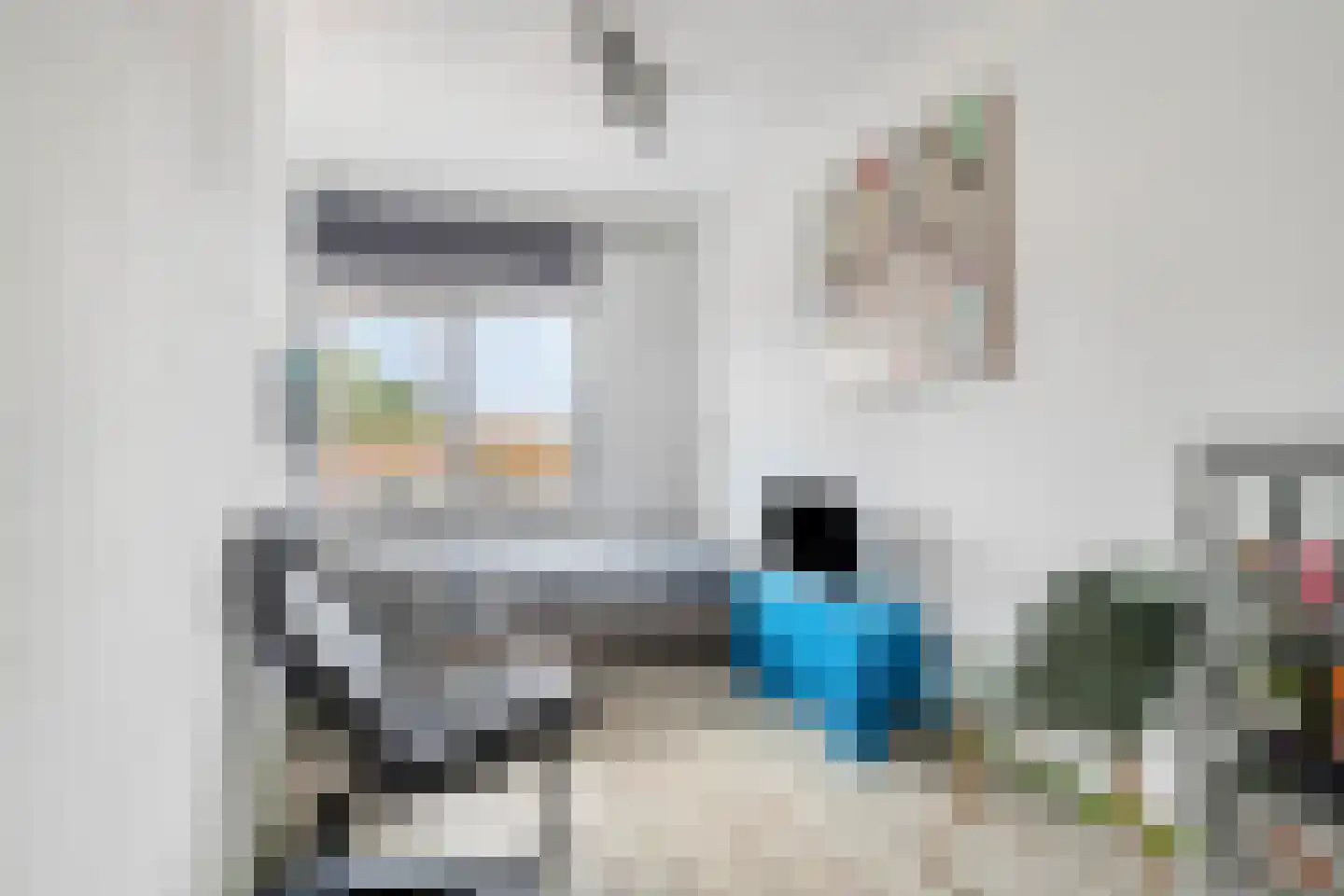 Lekstraat 23 Purmerend thumbnail 18
