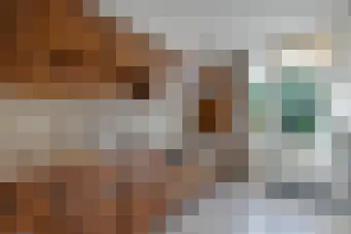 Lekstraat 24 Alkmaar thumbnail 12