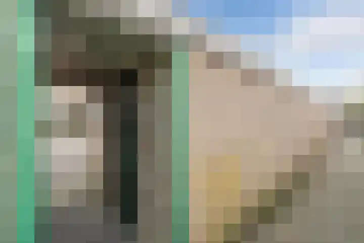 Lekstraat 24 Alkmaar thumbnail 40