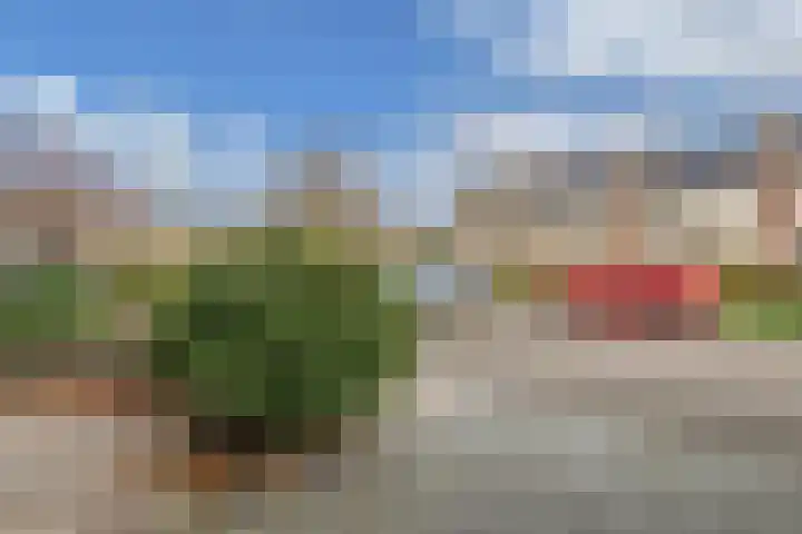 Lekstraat 24 Alkmaar thumbnail 43