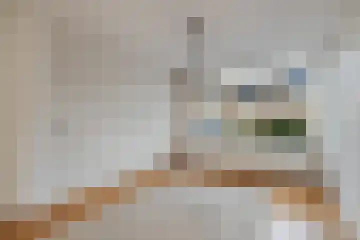 Lekstraat 24 Alkmaar thumbnail 8