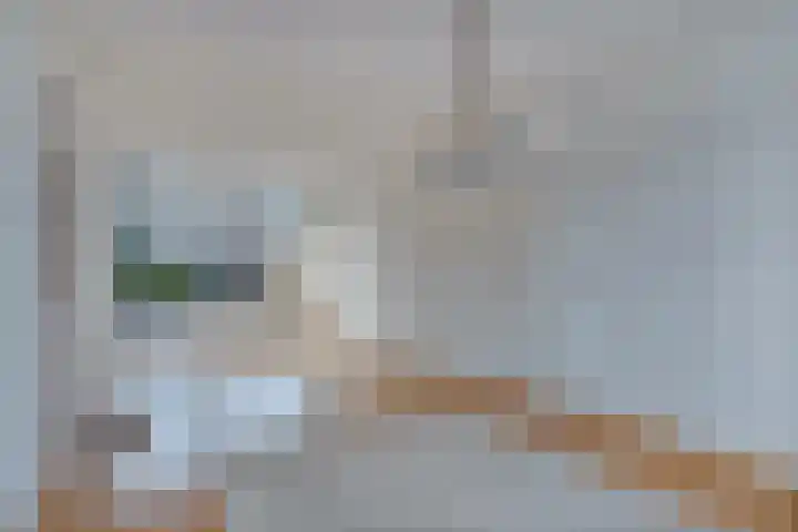 Lekstraat 24 Alkmaar thumbnail 9