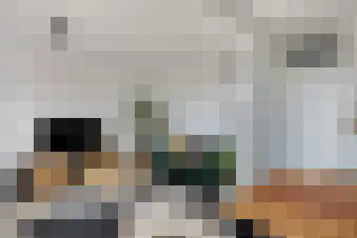 Lekstraat 25 Purmerend thumbnail 9