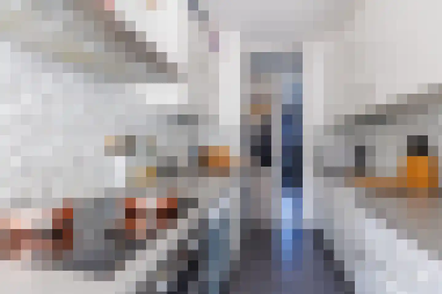 Lekstraat 253 Apeldoorn thumbnail 11