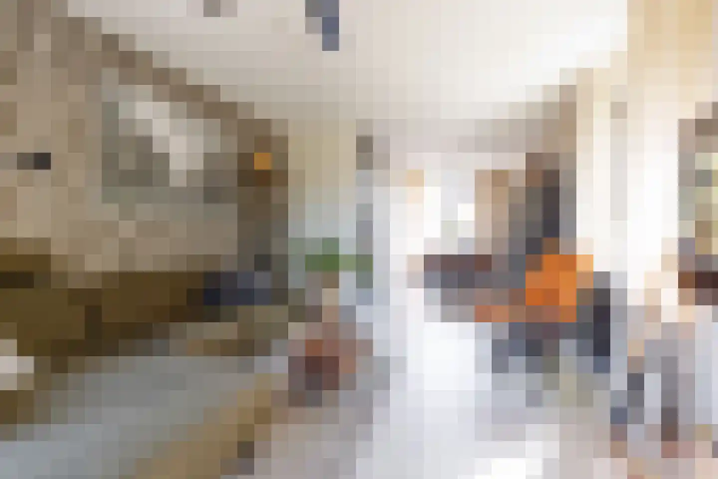 Lekstraat 253 Apeldoorn thumbnail 5