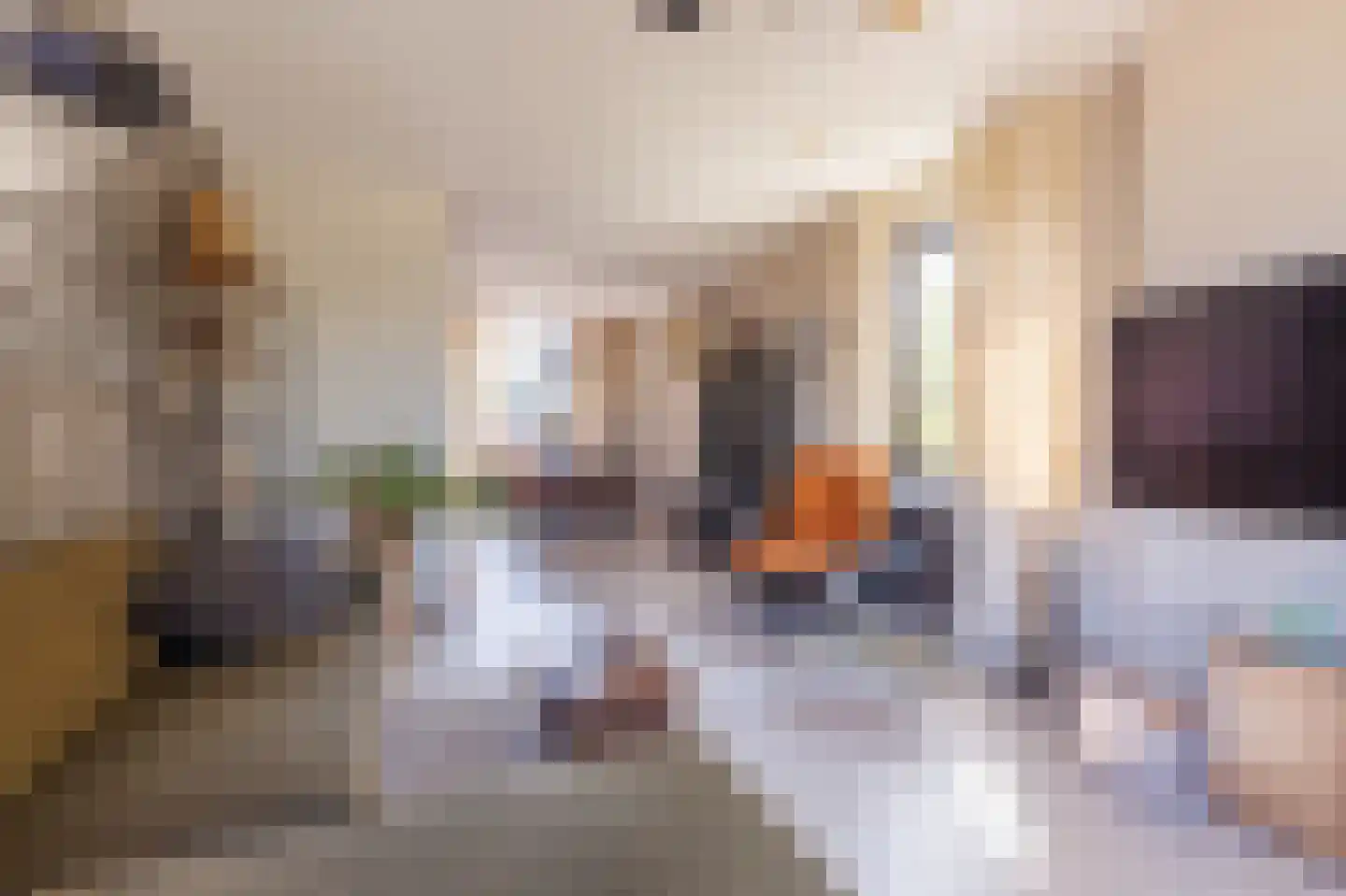 Lekstraat 253 Apeldoorn thumbnail 6