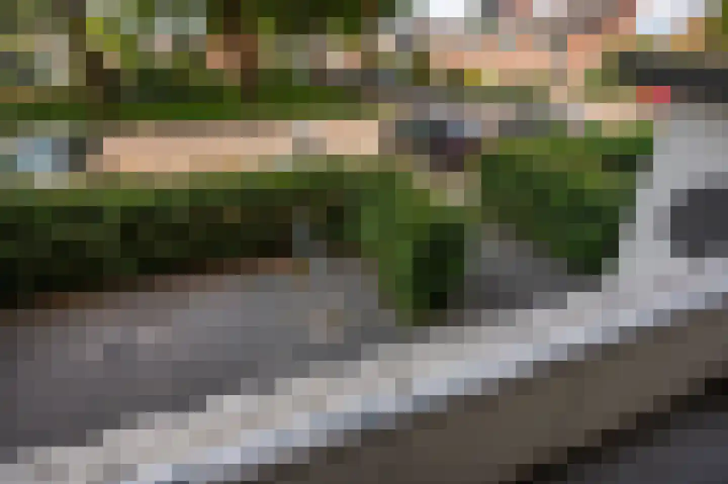 Lekstraat 257 Apeldoorn thumbnail 16