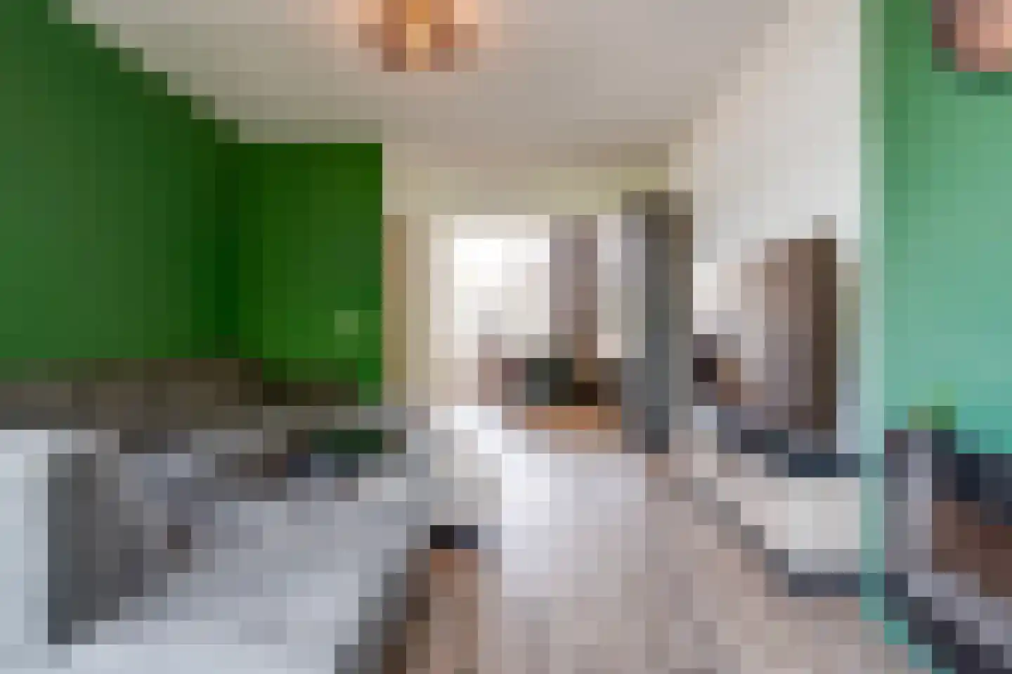 Lekstraat 269 Apeldoorn thumbnail 8