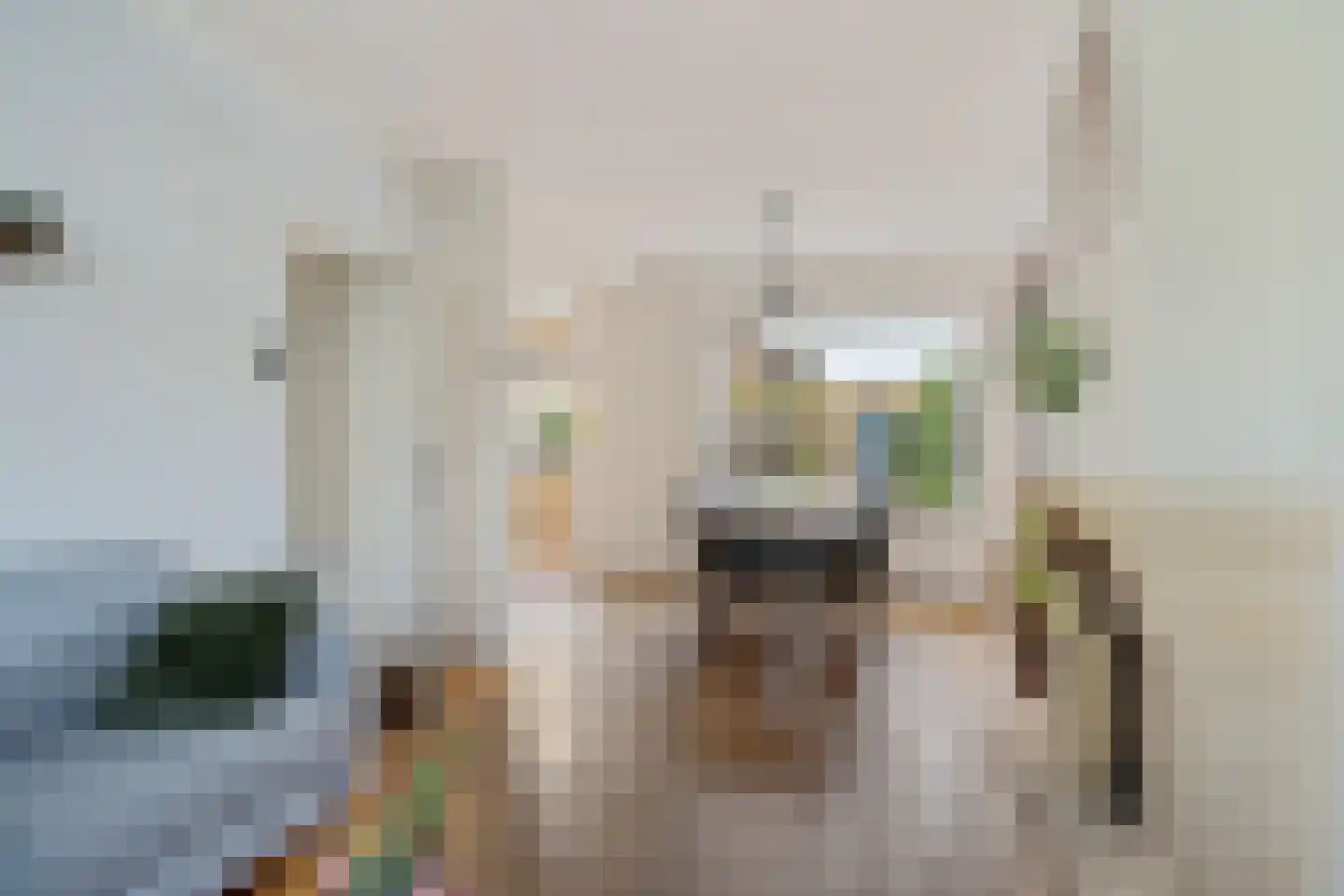 Lekstraat 3 Alphen aan den Rijn thumbnail 12