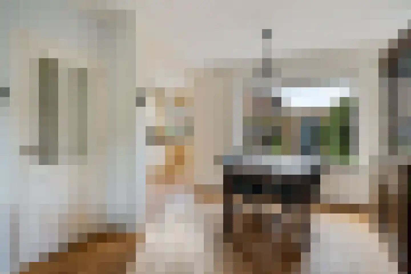 Lekstraat 3 Alphen aan den Rijn thumbnail 13