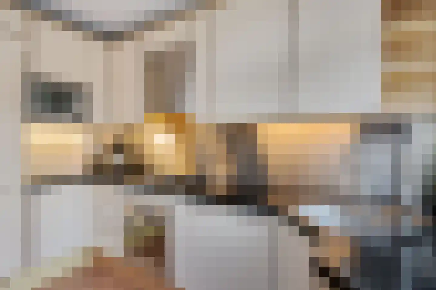 Lekstraat 3 Alphen aan den Rijn thumbnail 15