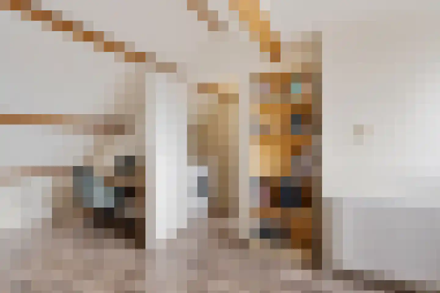 Lekstraat 3 Alphen aan den Rijn thumbnail 37