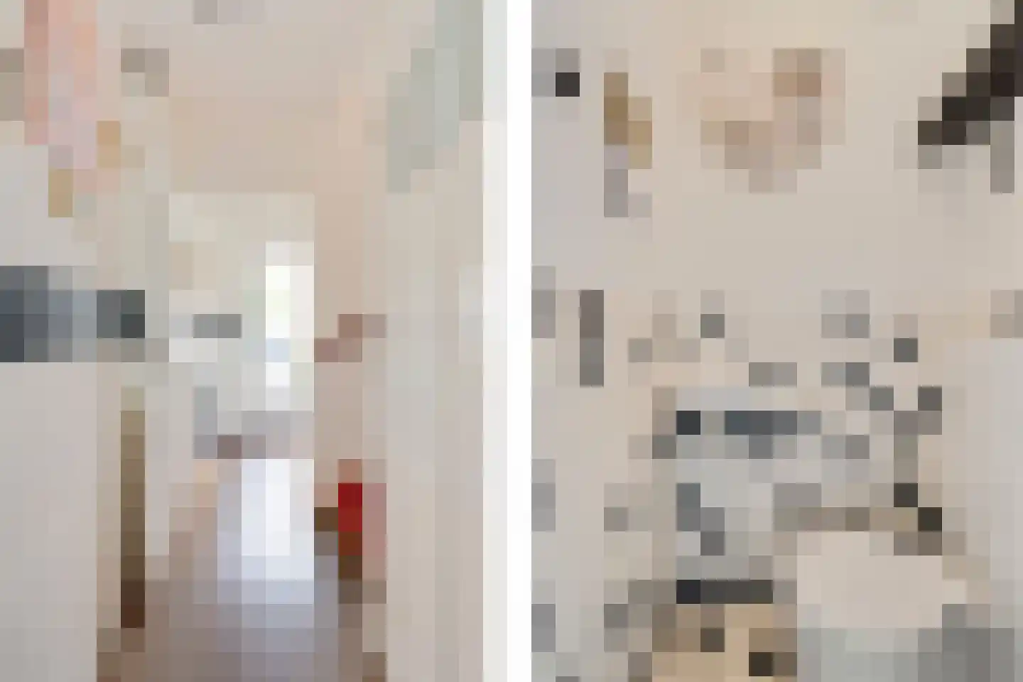 Lekstraat 3 Alphen aan den Rijn thumbnail 8
