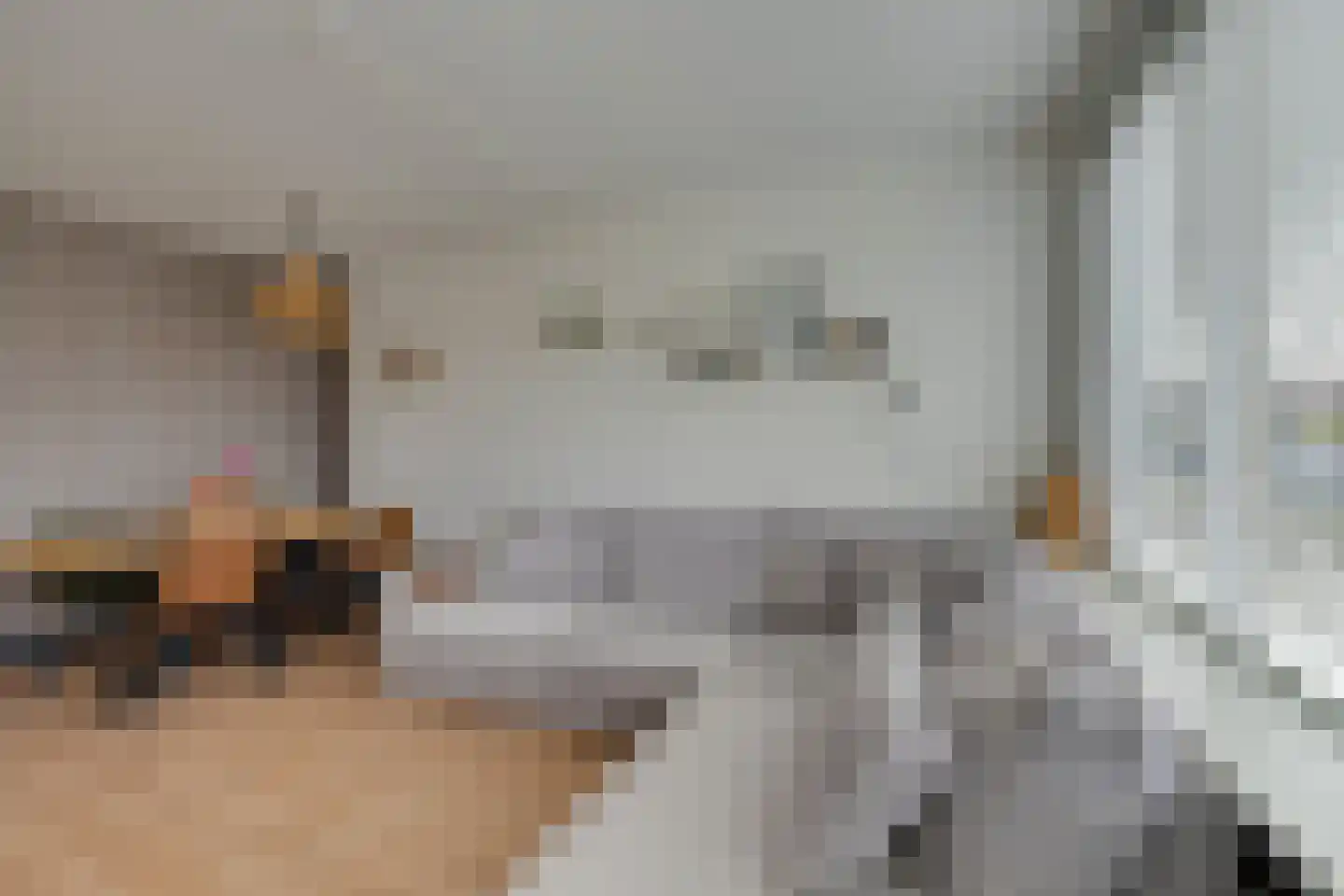 Lekstraat 3 Purmerend thumbnail 12
