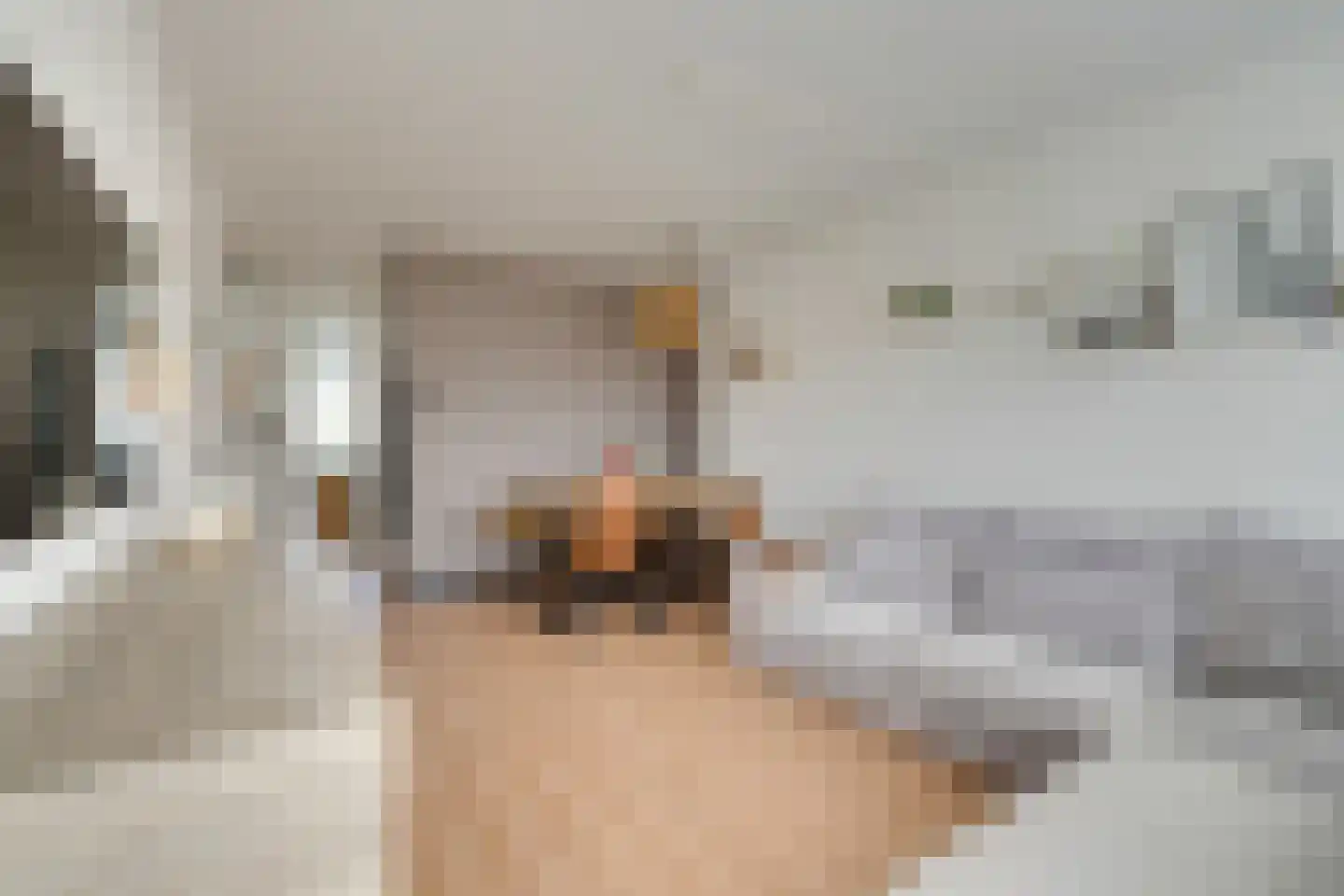 Lekstraat 3 Purmerend thumbnail 13
