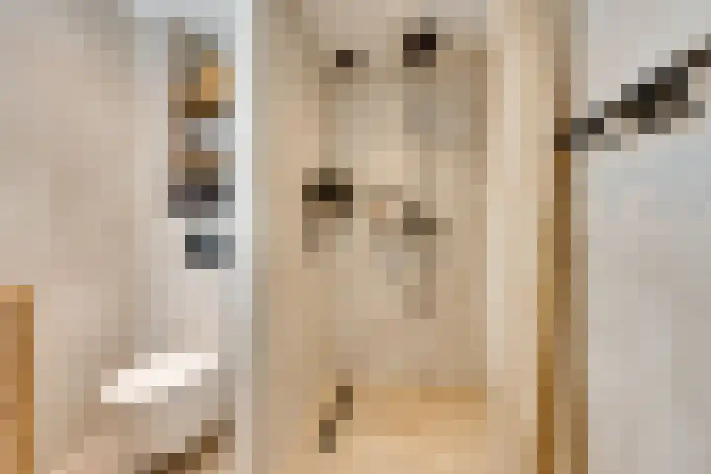 Lekstraat 3 Purmerend thumbnail 34