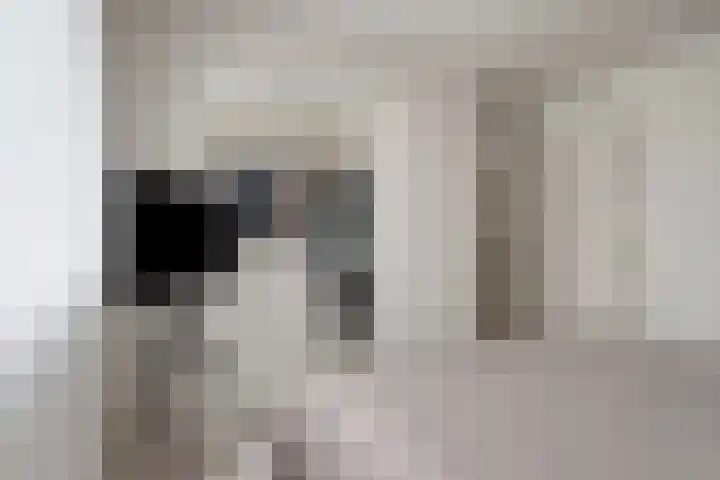 Lekstraat 31 Spijkenisse thumbnail 15