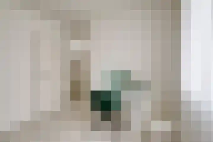 Lekstraat 31 Spijkenisse thumbnail 17
