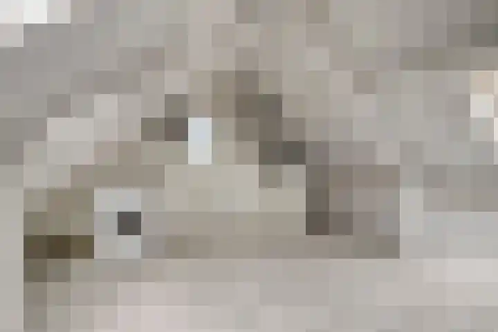 Lekstraat 31 Spijkenisse thumbnail 20