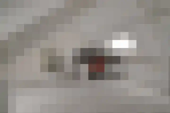 Lekstraat 31 Spijkenisse thumbnail 21