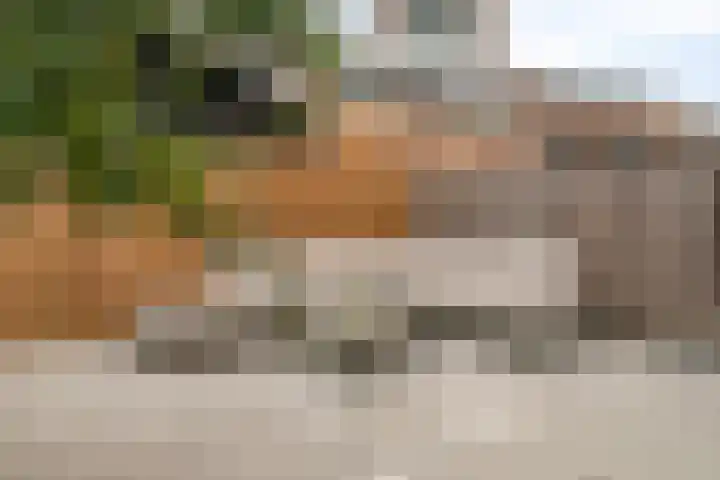 Lekstraat 31 Spijkenisse thumbnail 23