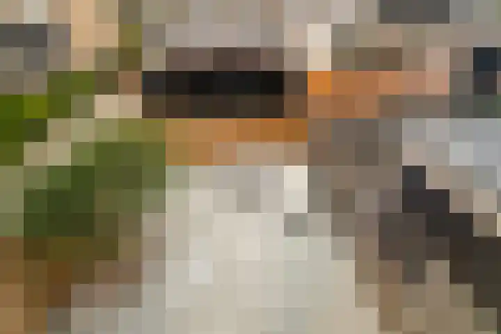 Lekstraat 31 Spijkenisse thumbnail 25
