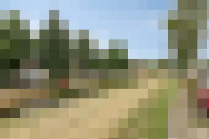 Lekstraat 31 Spijkenisse thumbnail 28
