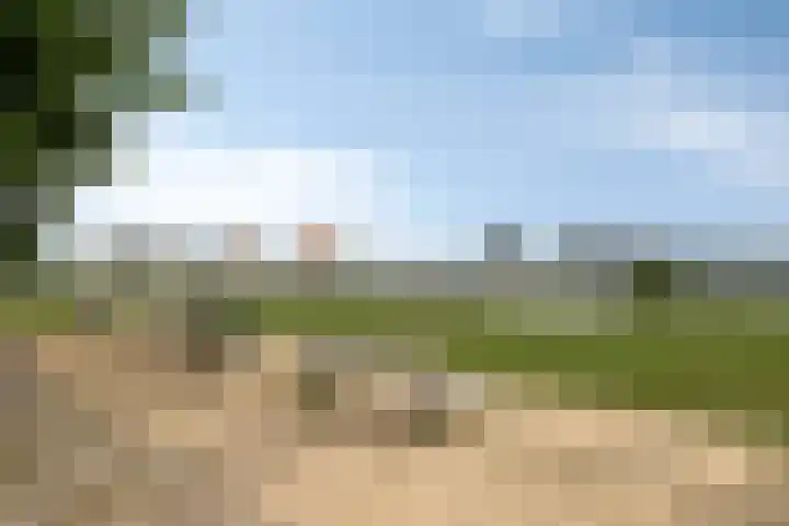 Lekstraat 31 Spijkenisse thumbnail 32