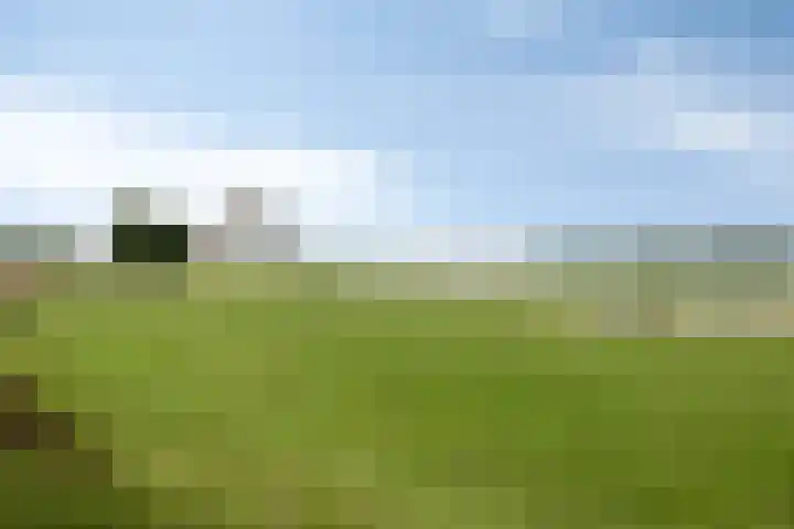 Lekstraat 31 Spijkenisse thumbnail 33