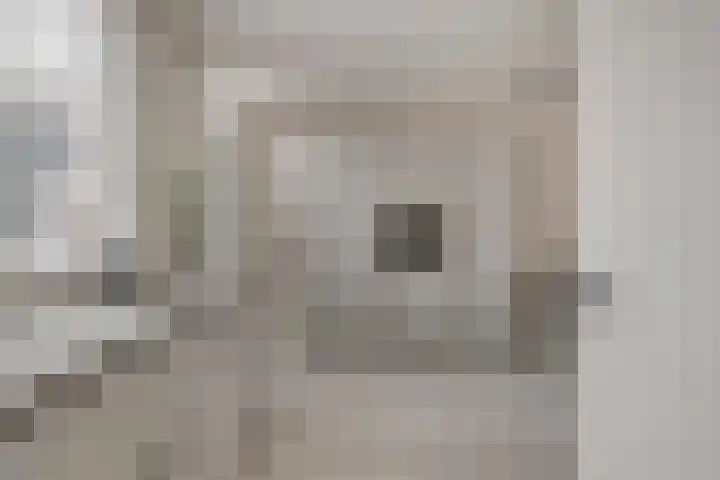 Lekstraat 31 Spijkenisse thumbnail 7