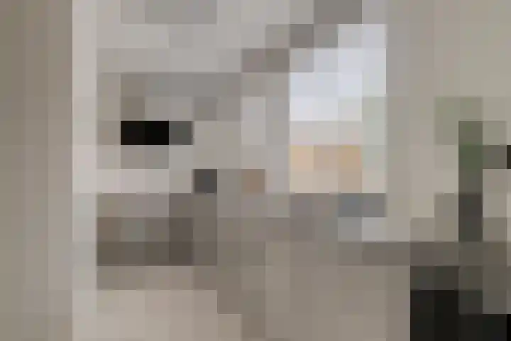 Lekstraat 31 Spijkenisse thumbnail 8