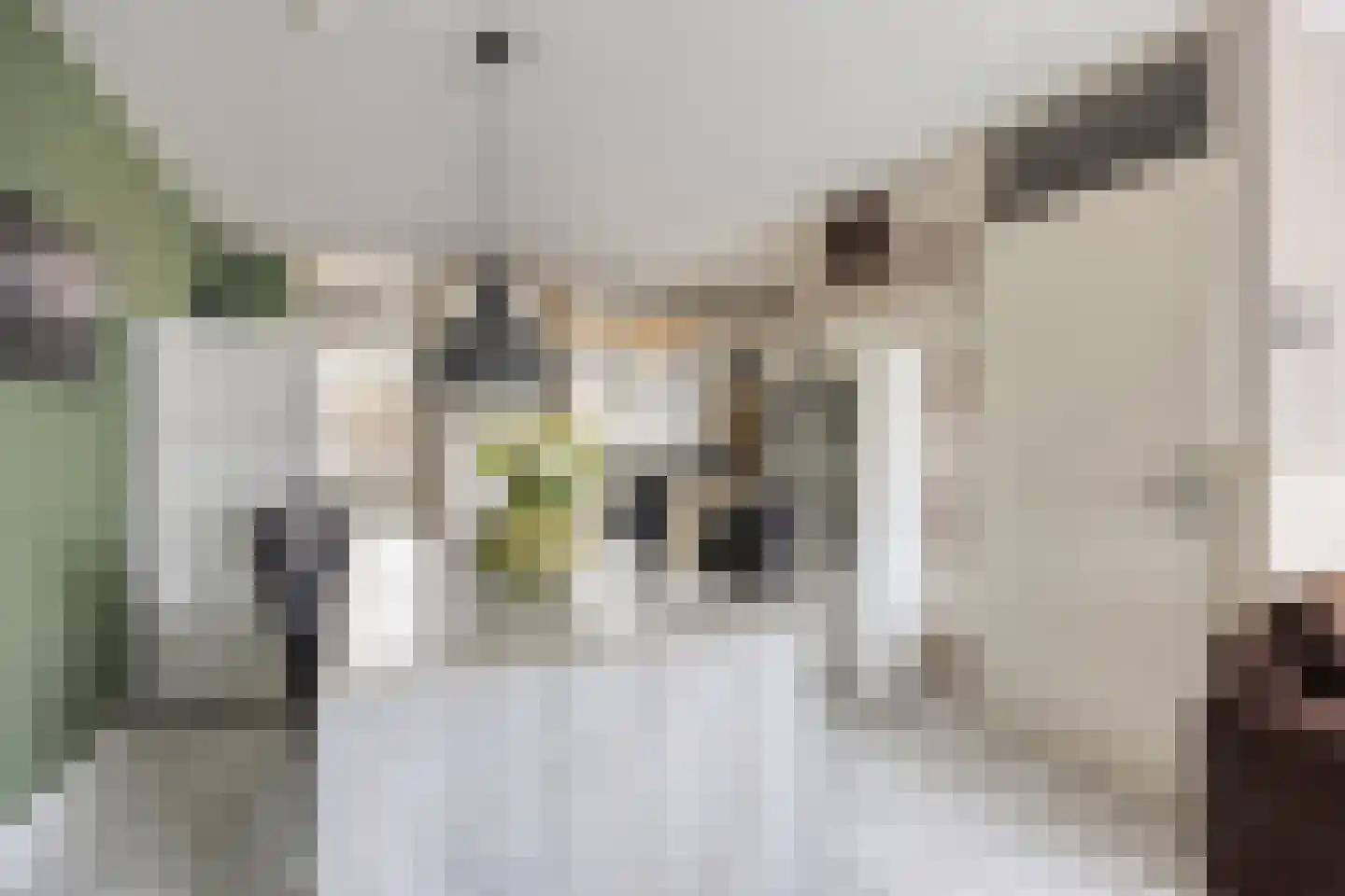 Lekstraat 33 Spijkenisse thumbnail 11