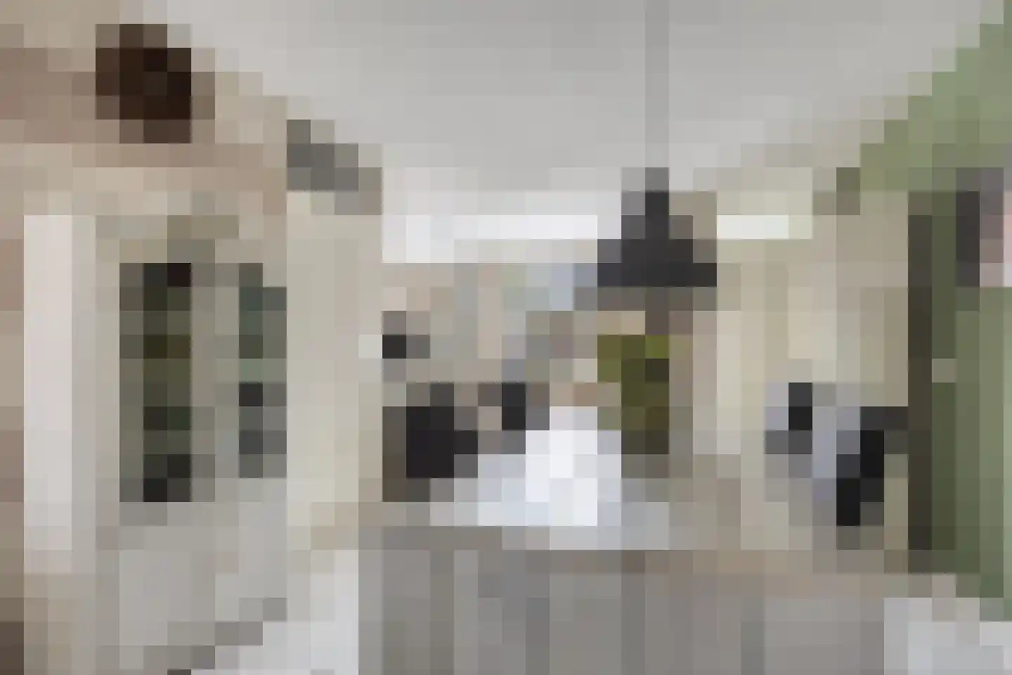 Lekstraat 33 Spijkenisse thumbnail 12