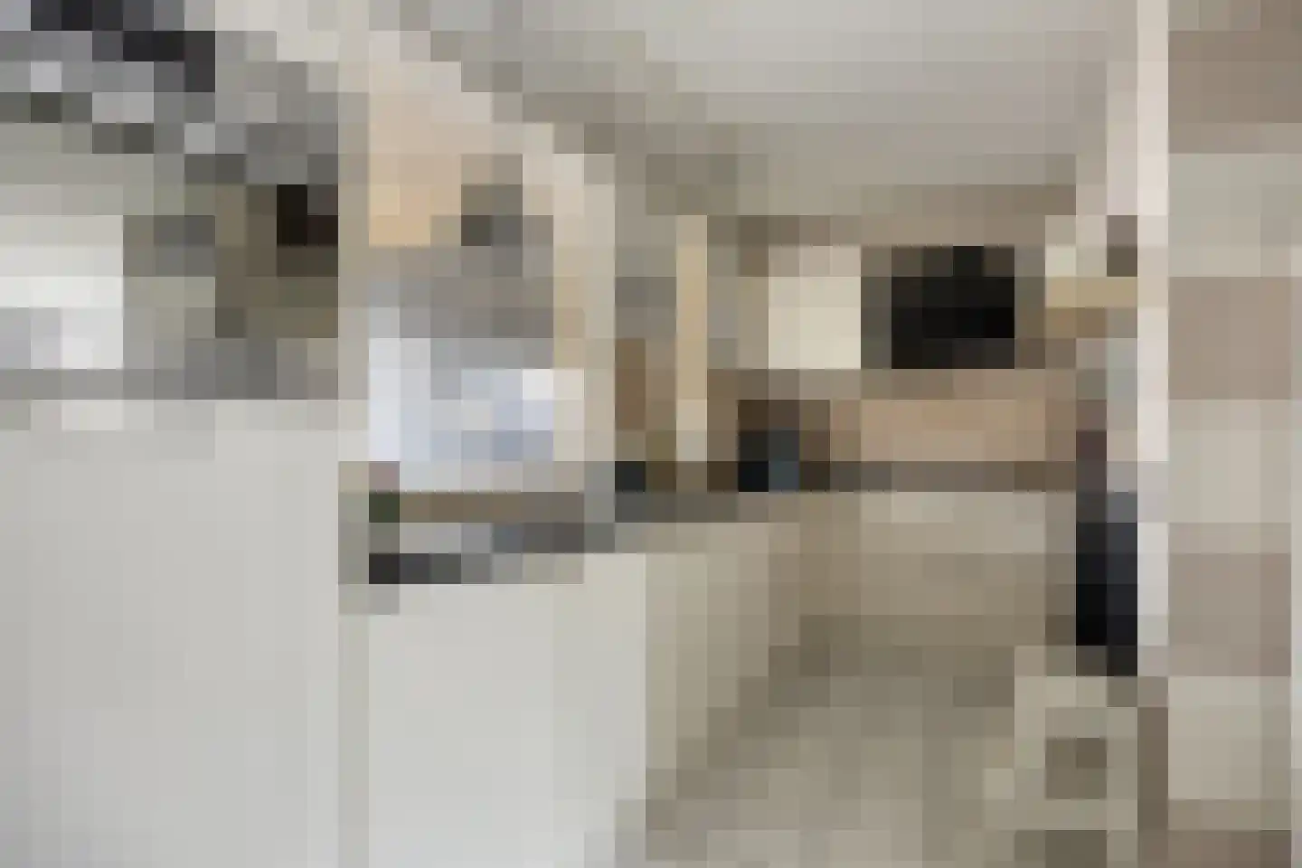 Lekstraat 33 Spijkenisse thumbnail 13