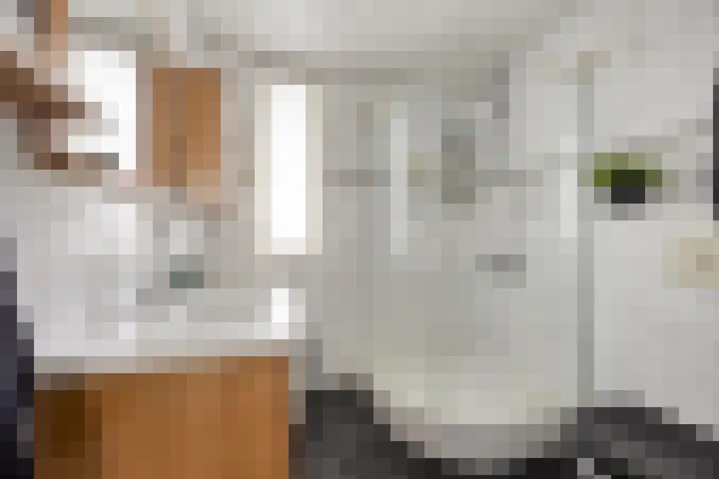 Lekstraat 33 Spijkenisse thumbnail 19