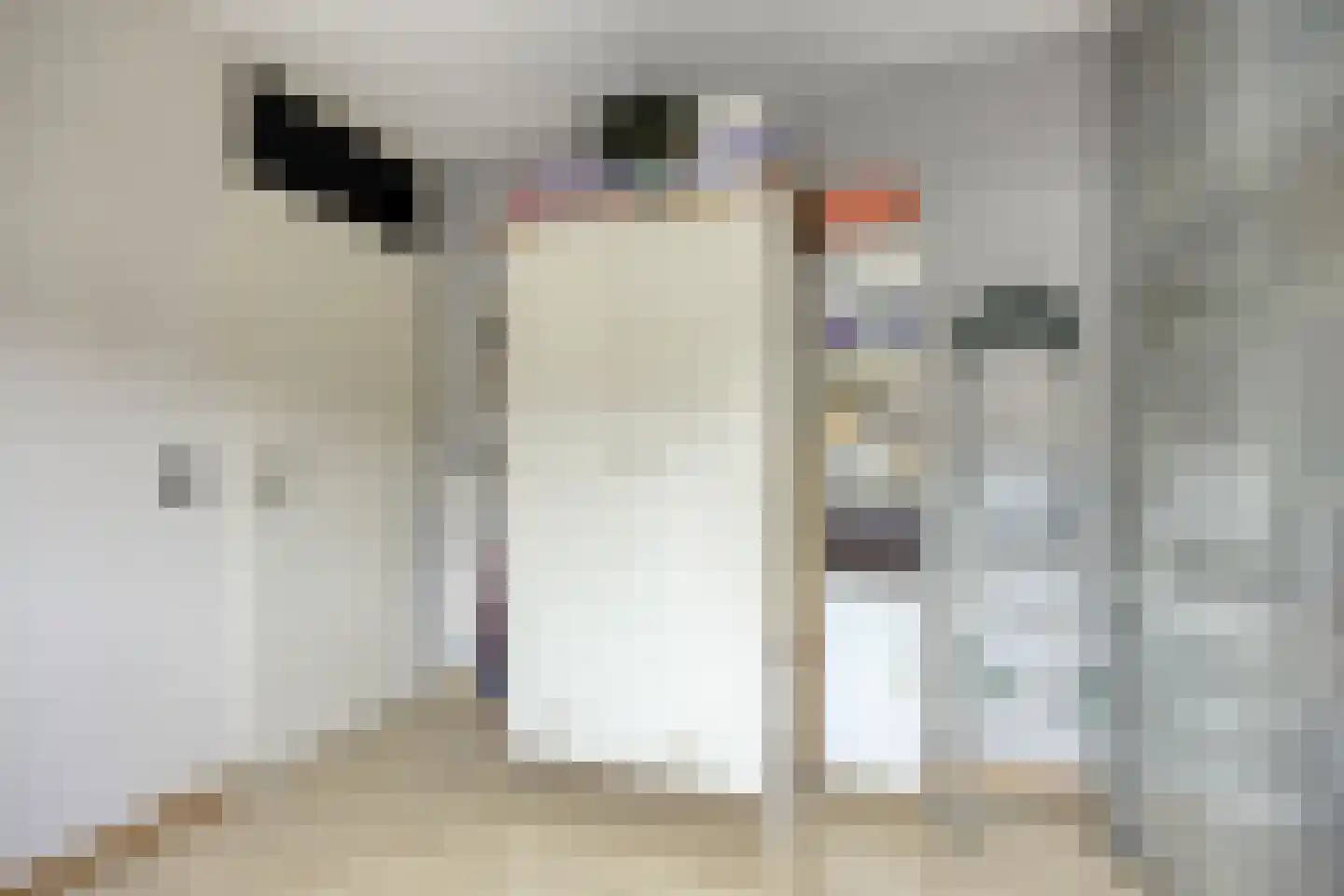 Lekstraat 33 Spijkenisse thumbnail 22