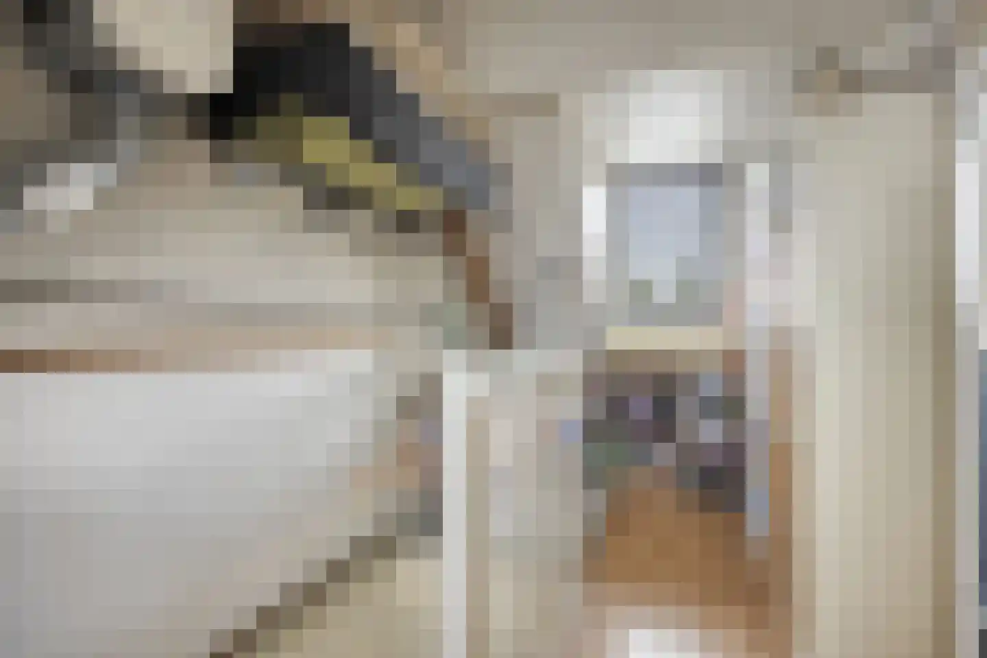 Lekstraat 33 Spijkenisse thumbnail 24