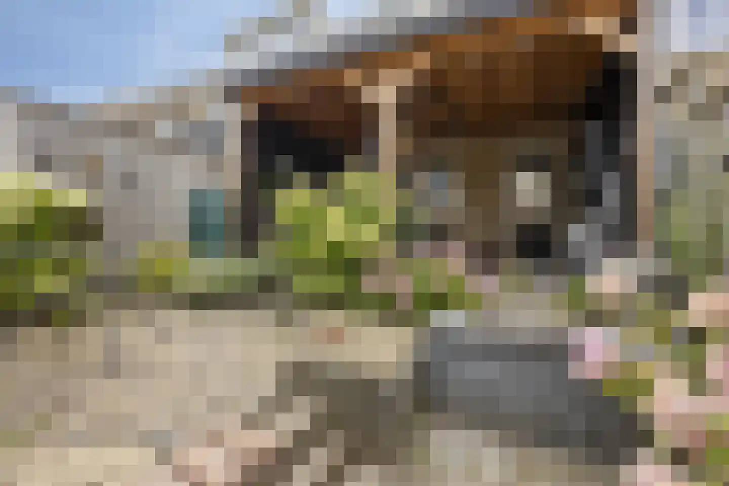 Lekstraat 33 Spijkenisse thumbnail 30