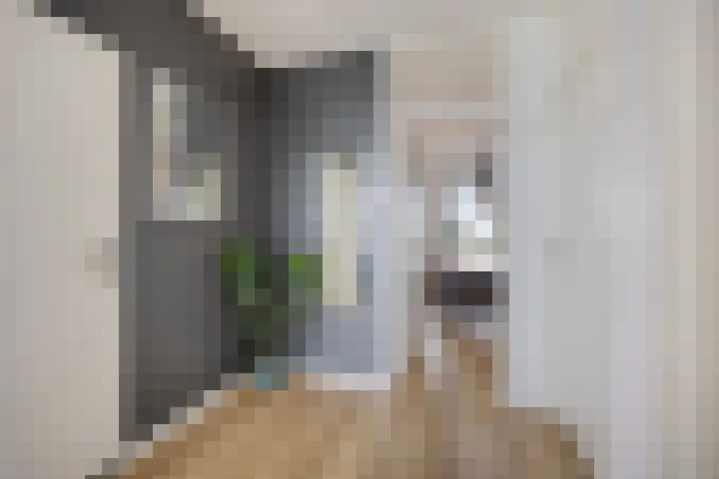 Lekstraat 39 Purmerend thumbnail 8